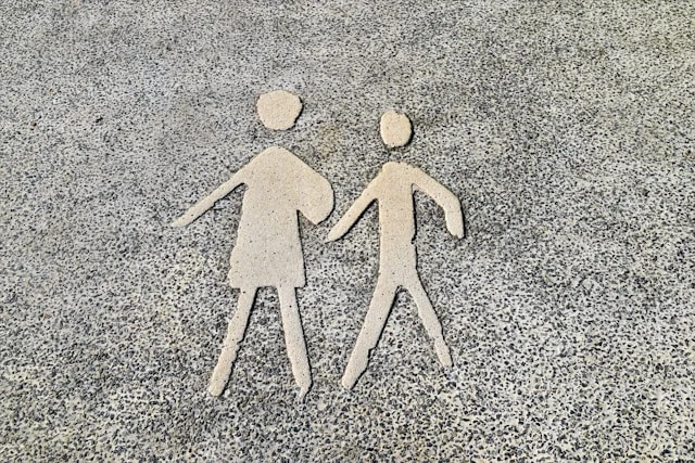 Juntos Seguros