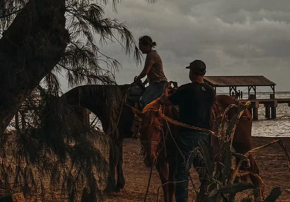 Kauai Horseback: Ride Through Lush Trails and Beaches