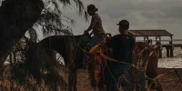 Kauai Horseback: Ride Through Lush Trails and Beaches